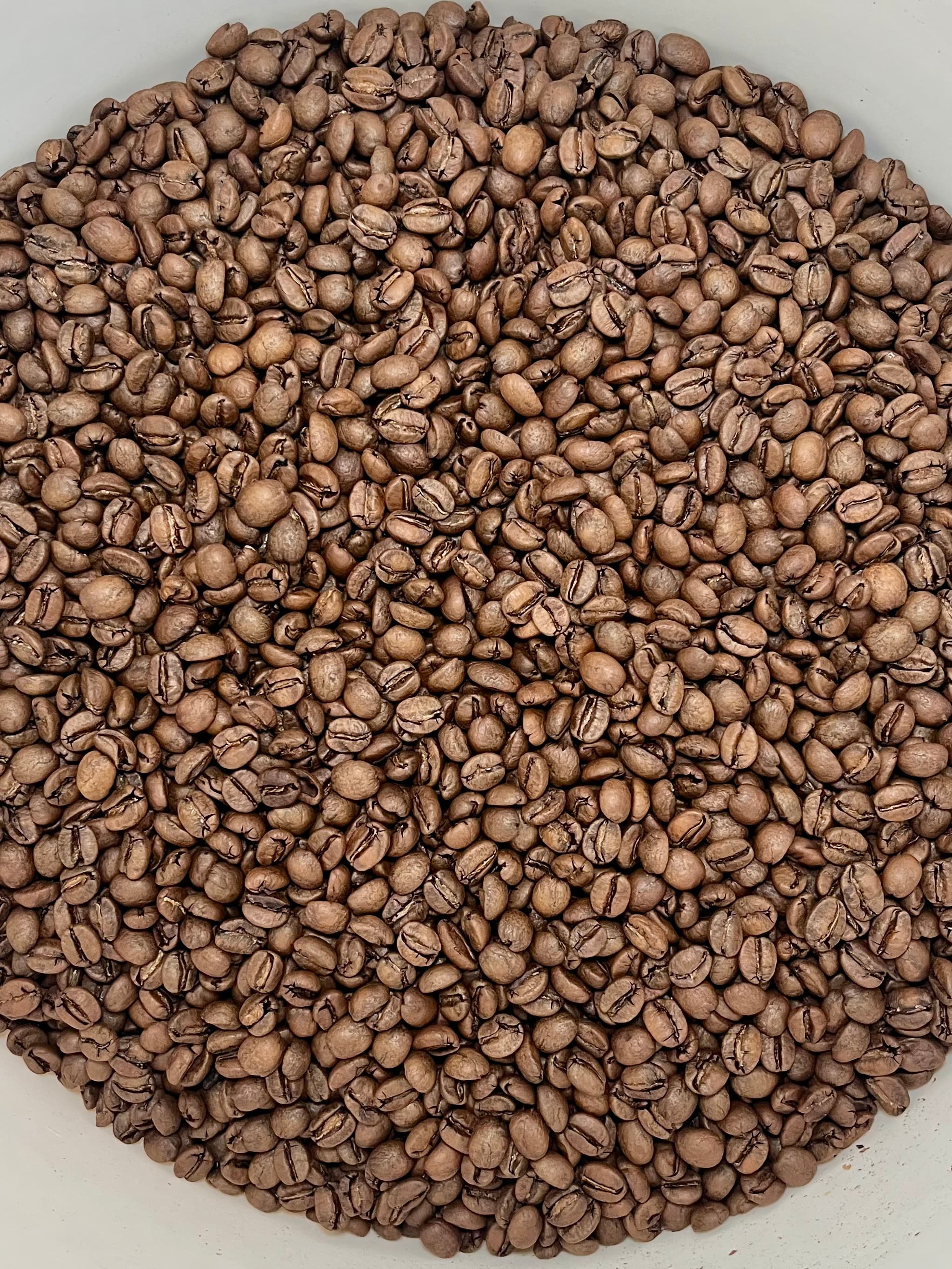 Clara coffee beans
